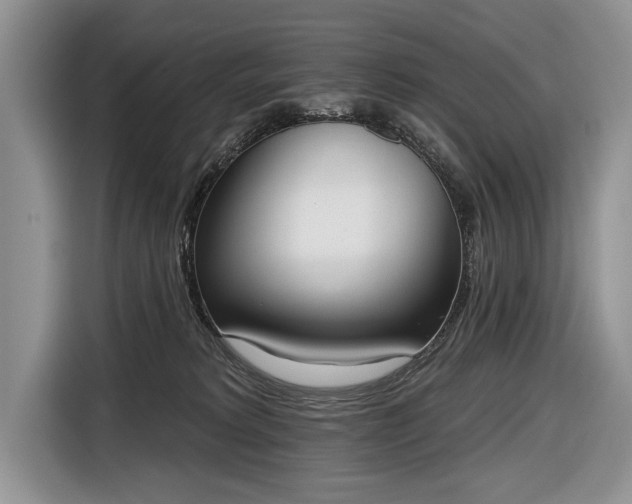 X0000116650229200912211453