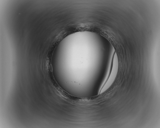 X0000116650231200912211453