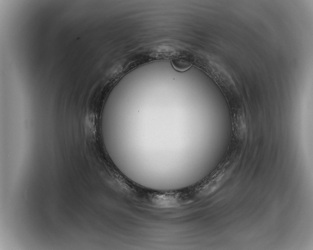 X0000116650232200912211453