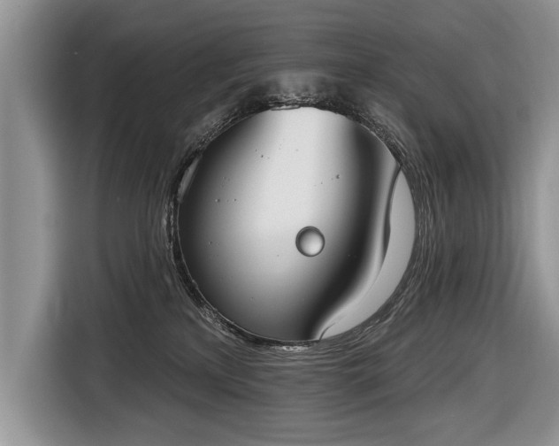 X0000116650233200912211453