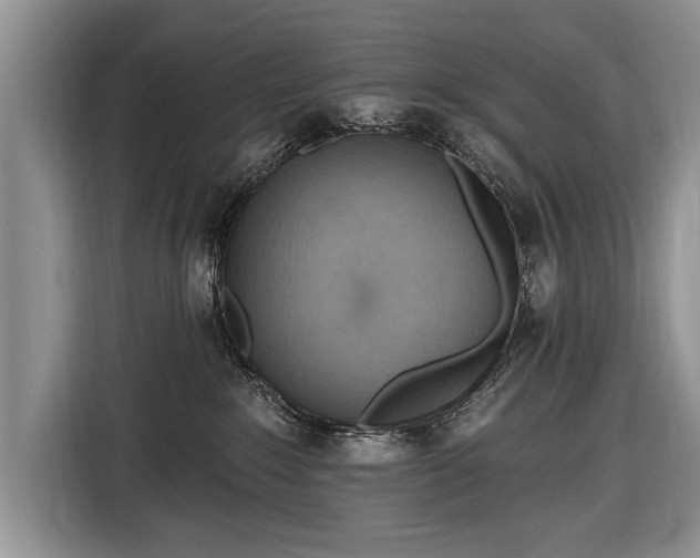 X0000116650235200912211453