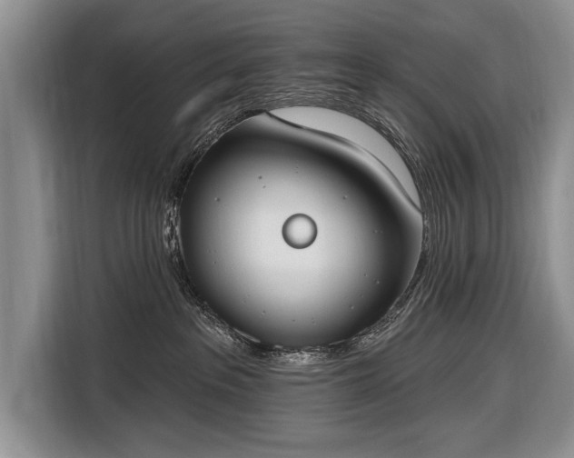 X0000116650237200912211453
