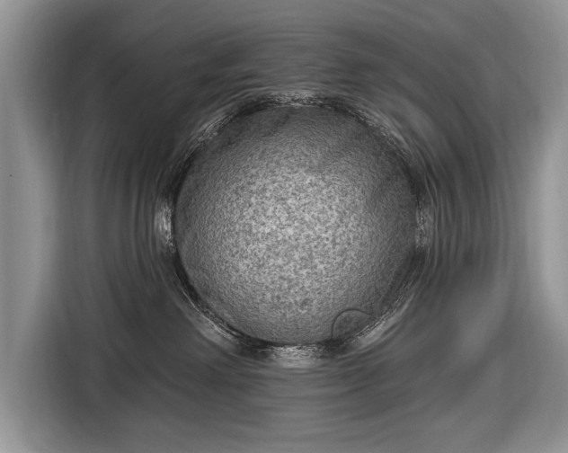 X0000116650238200912211453