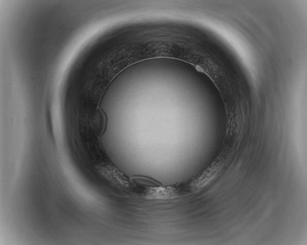 X0000116650239200912211453