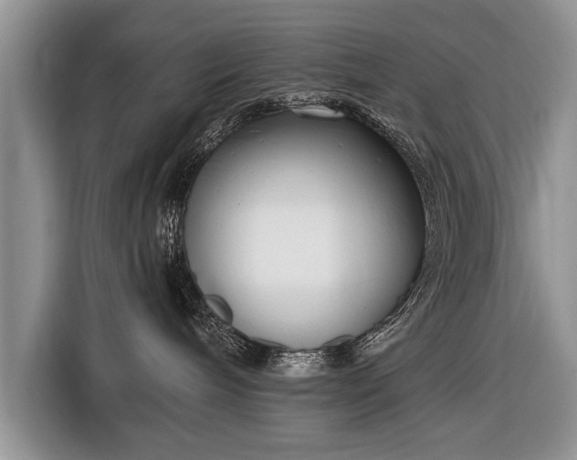 X0000116650240200912211453