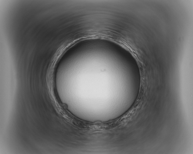 X0000116650241200912211453