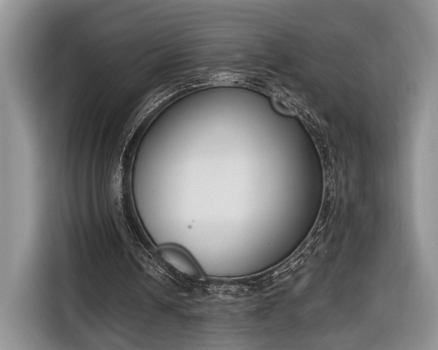 X0000116650242200912211453