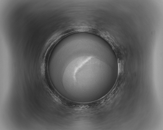 X0000116650243200912211453