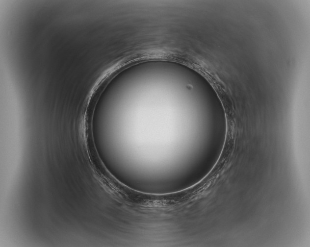X0000116650244200912211453