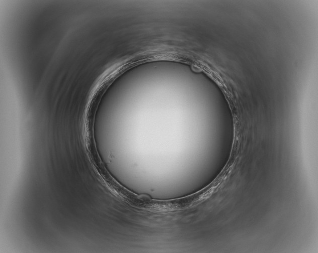 X0000116650245200912211453