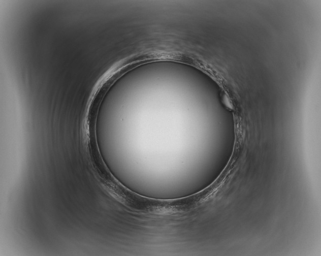 X0000116650246200912211453