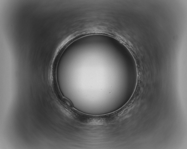X0000116650248200912211453