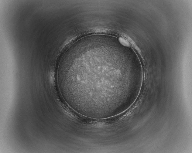 X0000116650249200912211453