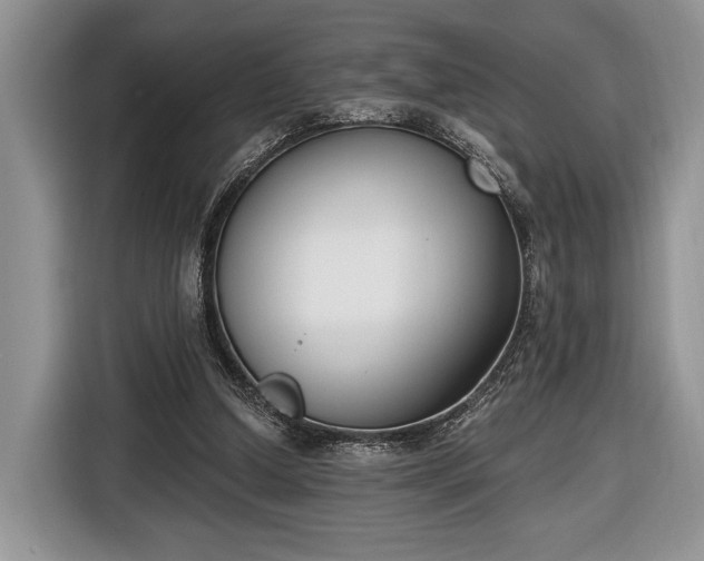 X0000116650250200912211453