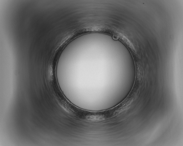 X0000116650251200912211453