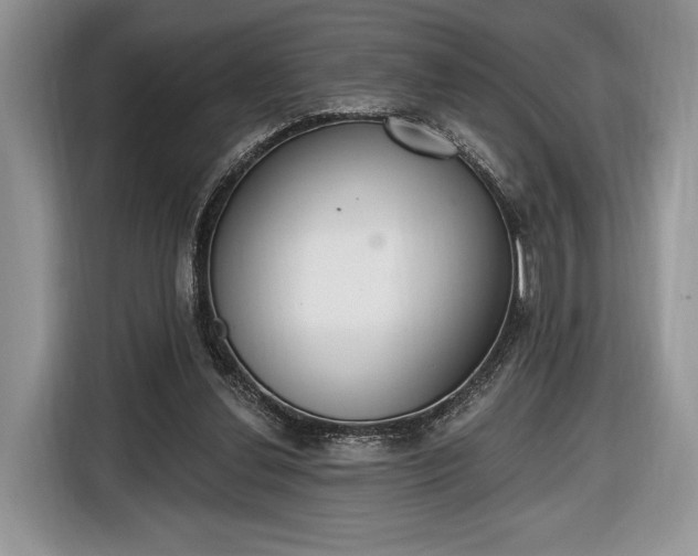 X0000116650252200912211453