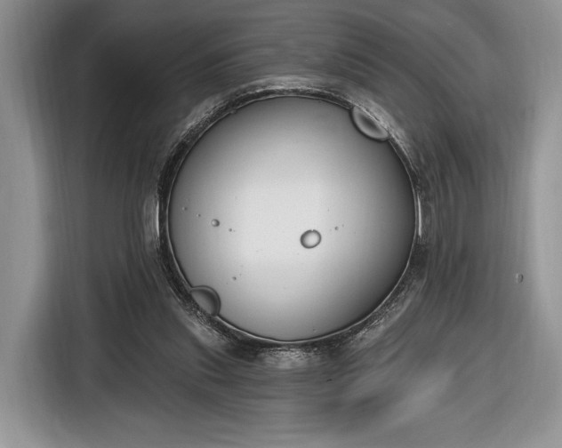 X0000116650253200912211453
