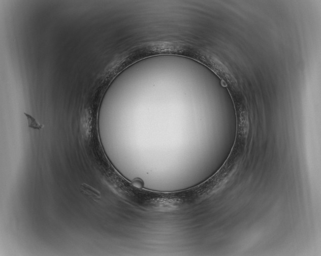 X0000116650255200912211453