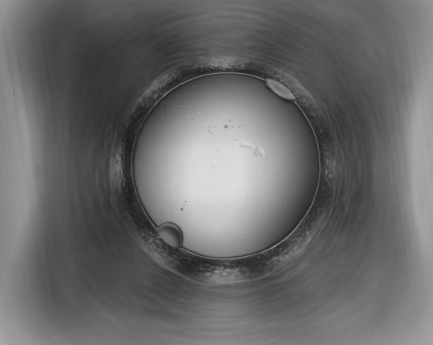 X0000116650256200912211453