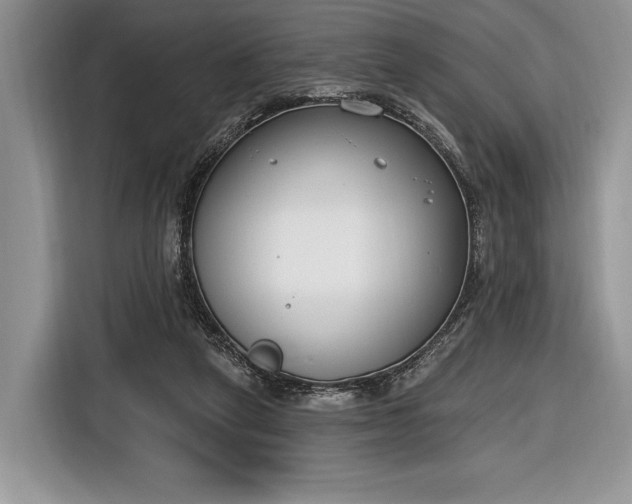 X0000116650257200912211453