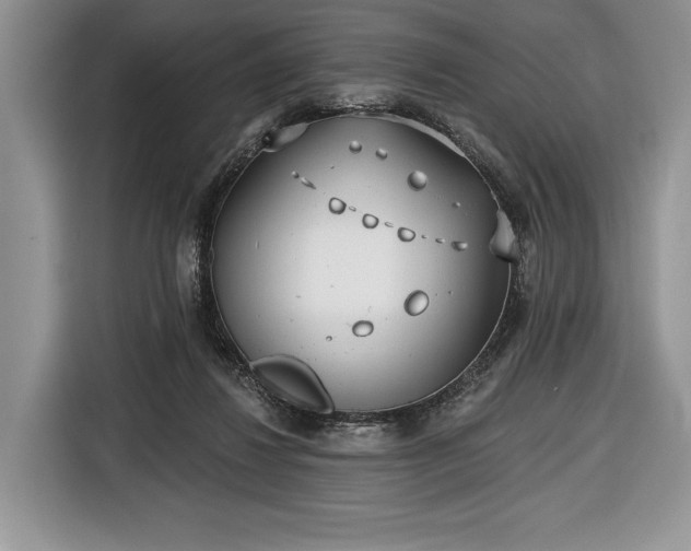 X0000116650260200912211453
