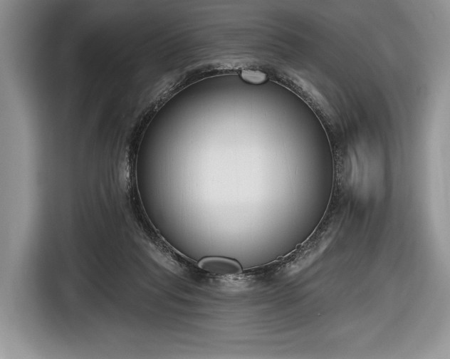 X0000116650261200912211453