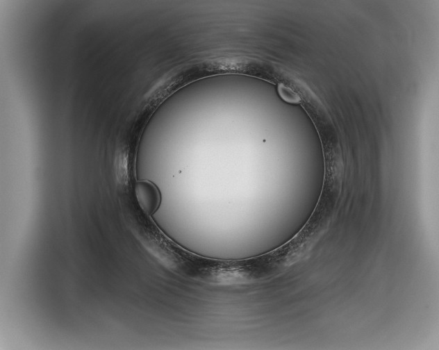 X0000116650262200912211453