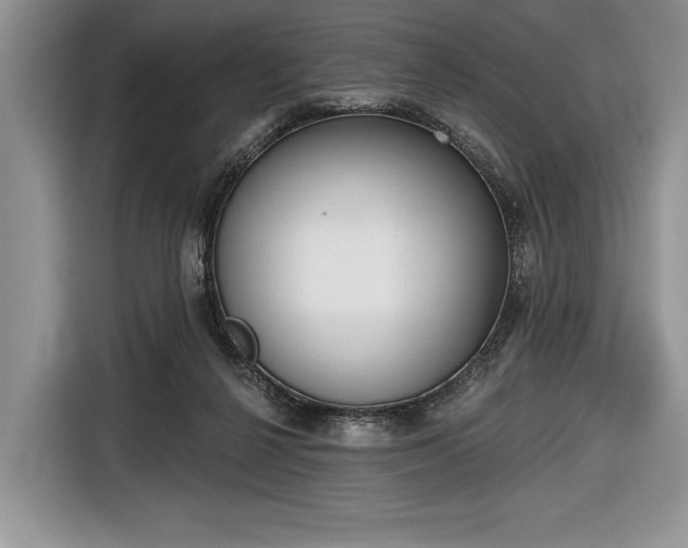 X0000116650264200912211453