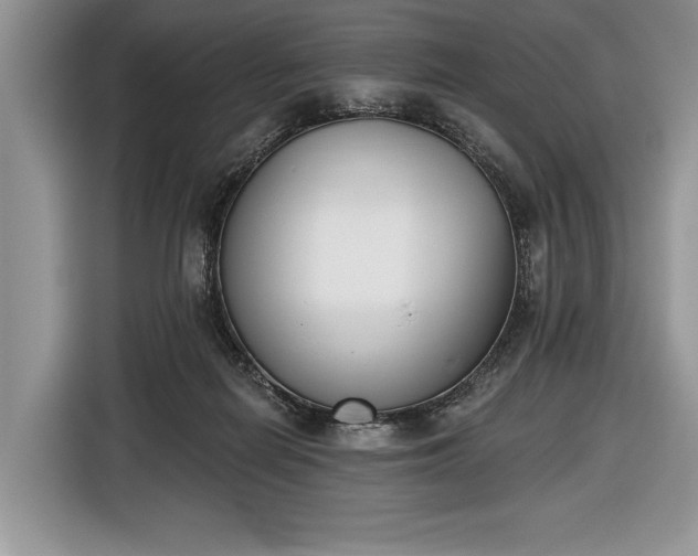 X0000116650266200912211453
