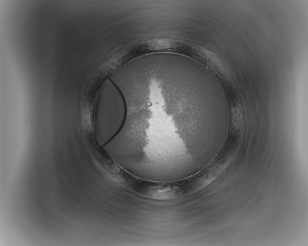 X0000116650267200912211453