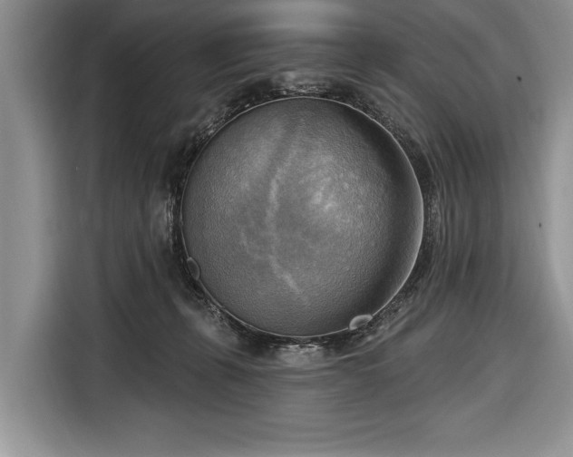 X0000116650271200912211453