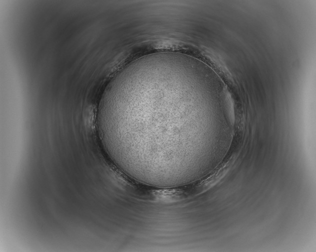 X0000116650273200912211453