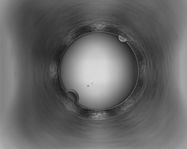 X0000116650274200912211453