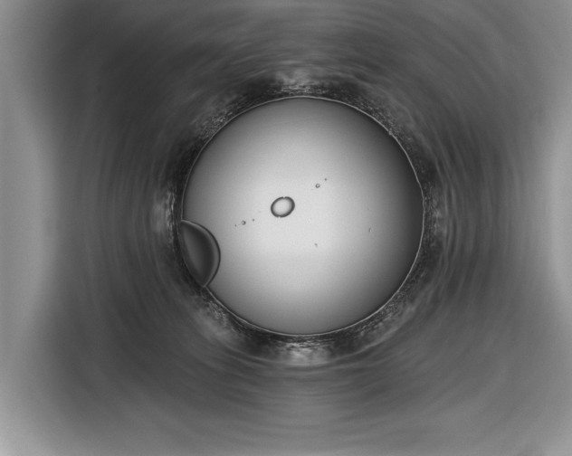 X0000116650275200912211453
