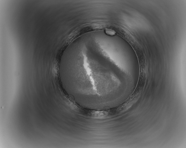 X0000116650277200912211453