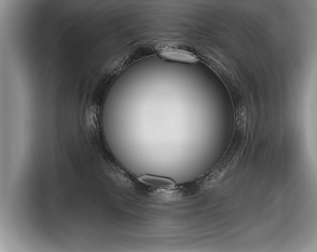 X0000116650280200912211453