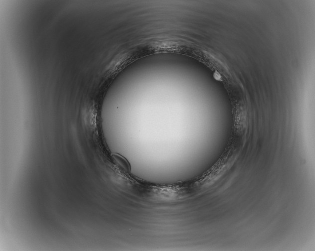 X0000116650282200912211453
