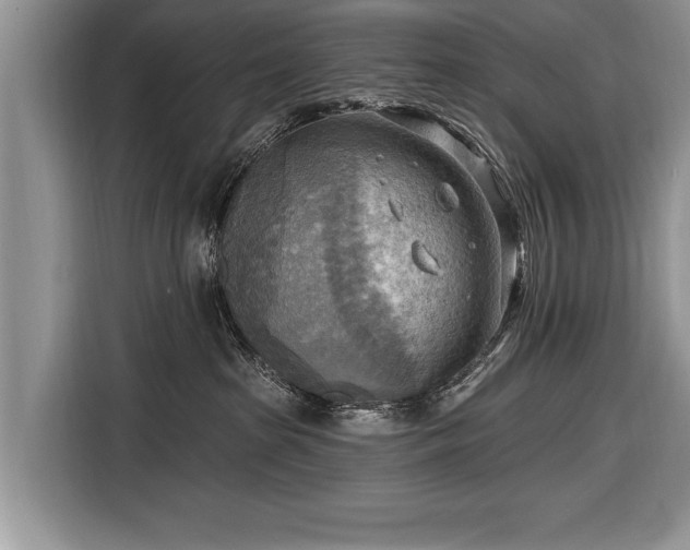 X0000116650285200912211453