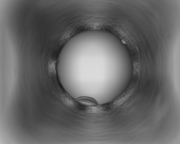 X0000116650286200912211453