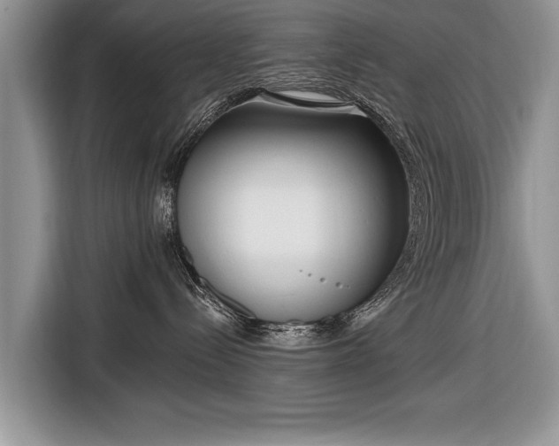 X0000116650288200912211453