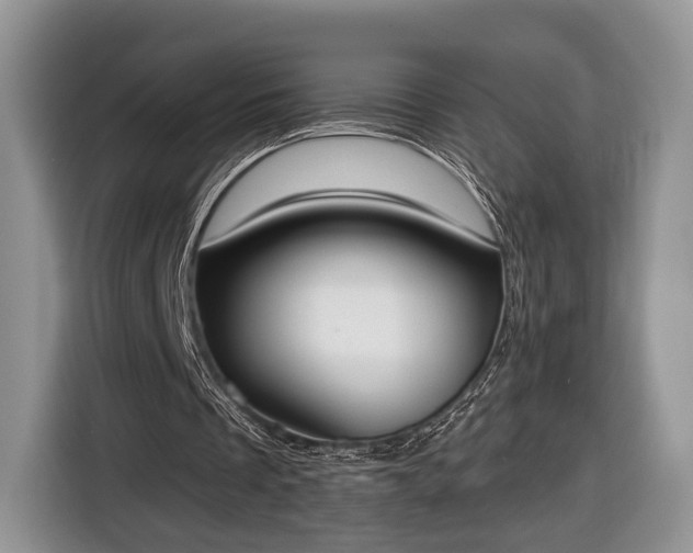 X0000116650289200912211452