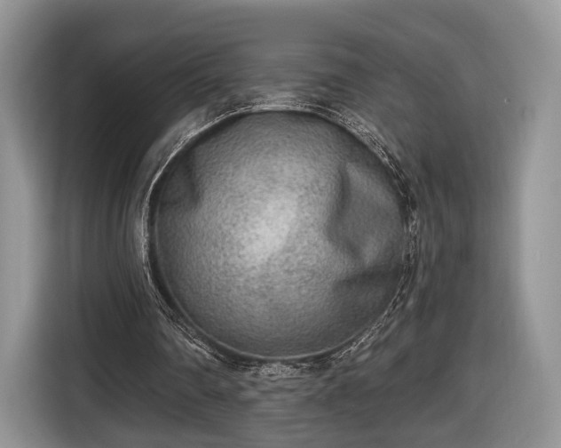 X0000116650290200912211452
