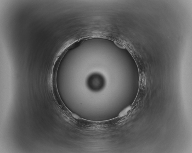 X0000116650292200912211452