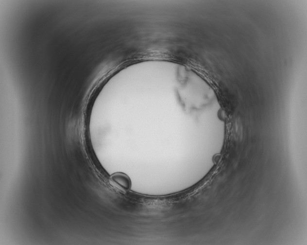 X0000116650293200912211452