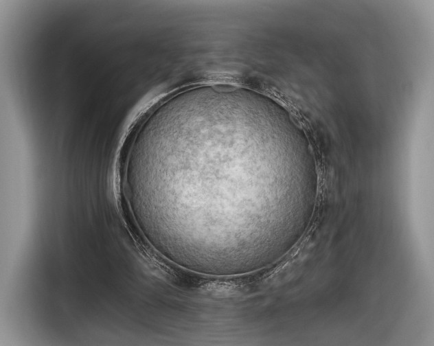 X0000116650294200912211452