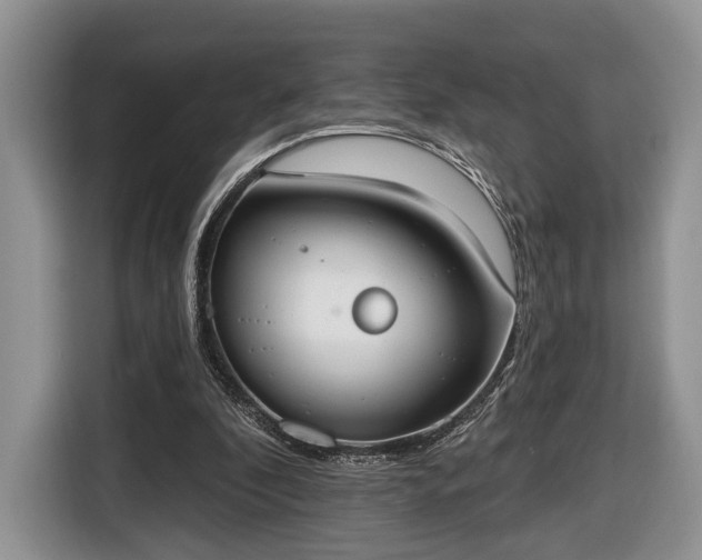 X0000116650296200912211452