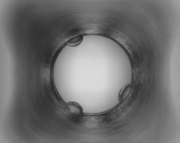 X0000116650297200912211452
