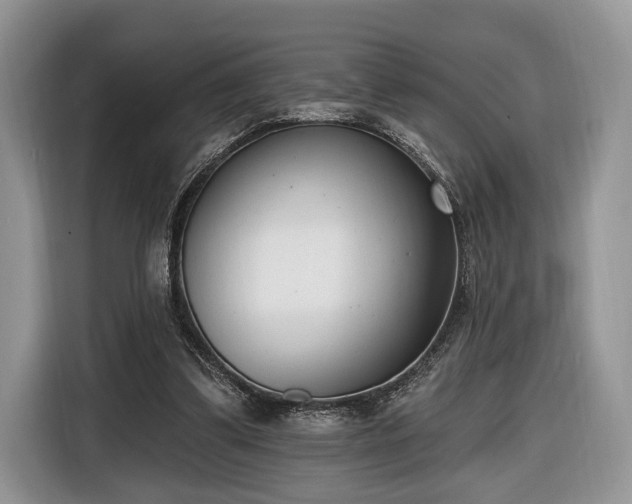 X0000116650299200912211452