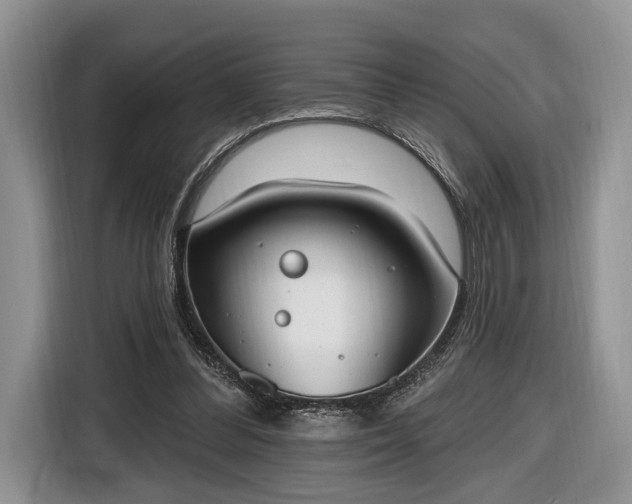 X0000116650300200912211452