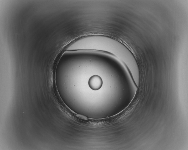 X0000116650301200912211452